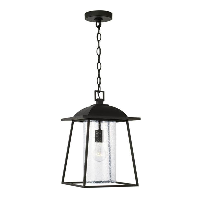 Capital Lighting Durham 1-Light Outdoor Hanging-Lantern in Black with Clear Seeded Glass