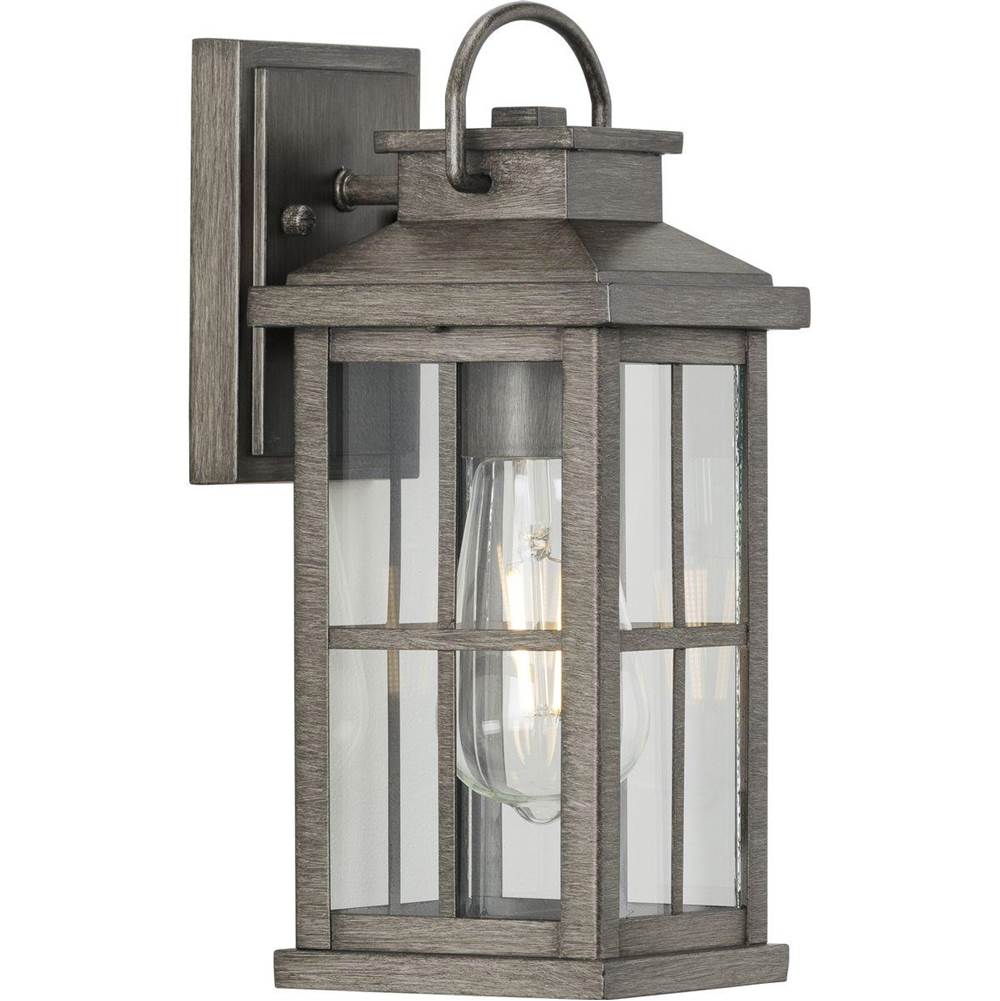 Progress Lighting Williamston Collection One-Light Antique Pewter and Clear Glass Transitional Style Small Outdoor Wall Lantern